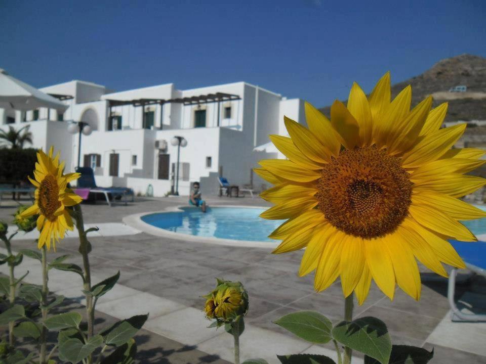 Delight Apartments Suites Stelida  Eksteriør bilde